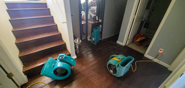 Best Sewage cleanup and water damage restoration  in Hummelstown, PA