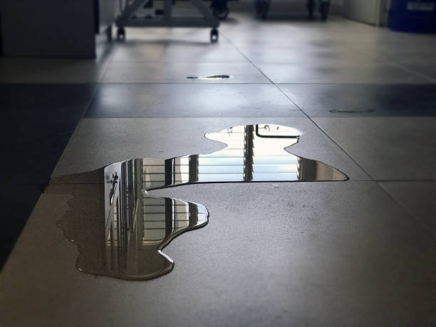 Best Commercial water damage restoration  in Hummelstown, PA