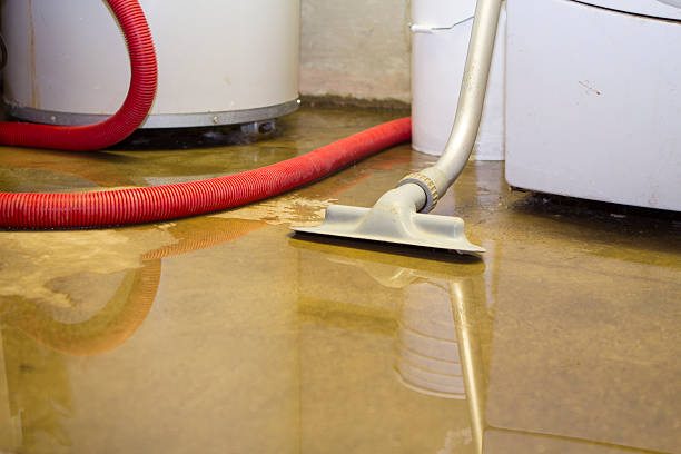 Best Water damage restoration near me  in Hummelstown, PA