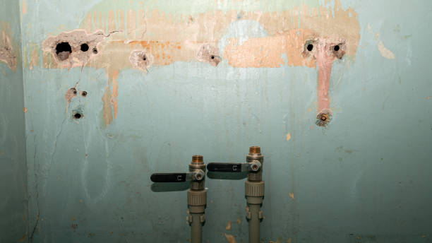 Best Local water damage restoration  in Hummelstown, PA
