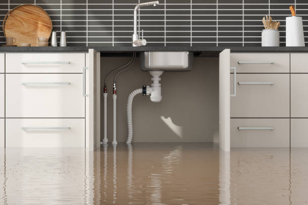 Best 24/7 water damage repair  in Hummelstown, PA