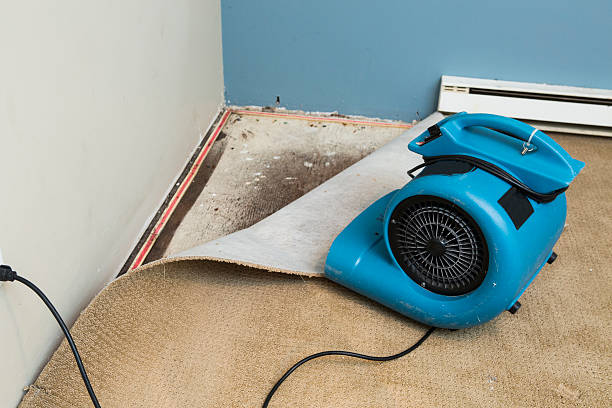 Best Local water damage restoration  in Hummelstown, PA